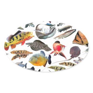 大型熱帯魚 OVAL STICKER