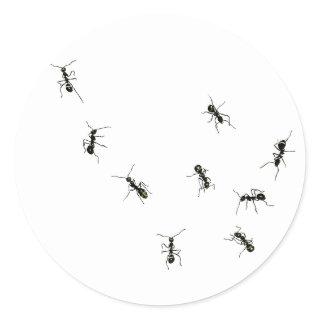 10 ants classic round sticker