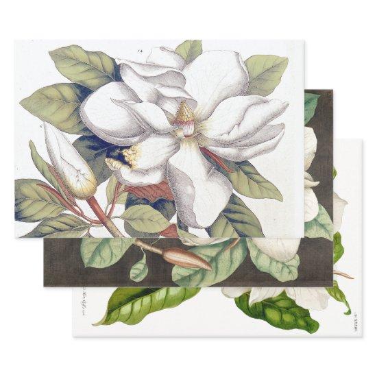 18TH CENTURY MAGNOLIAS HEAVY WEIGHT DECOUPAGE  SHEETS