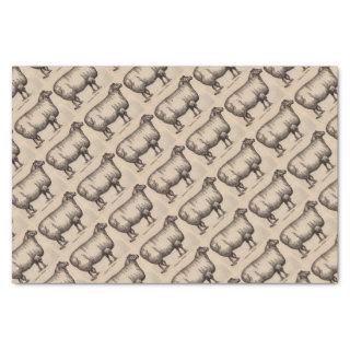 19th century print Cotswold sheep Tissue Paper