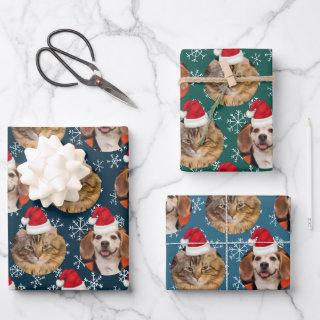 2 Pet Photo Santa Hat on Heads Blue Teal Wrapping   Sheets