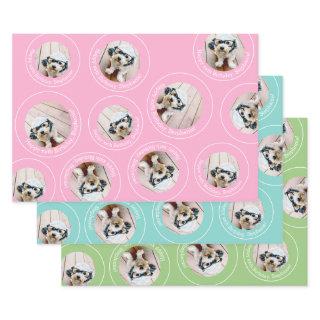 3 photo Collage Happy Birthday Circles pink blue  Sheets