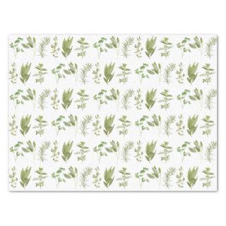 6 FRESH HERBS Tissue Paper I