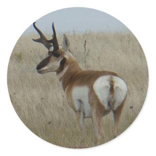A22 Pronghorn Antelope Buck Classic Round Sticker