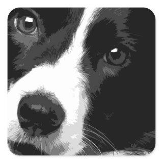 A black and white Border collie Square Sticker