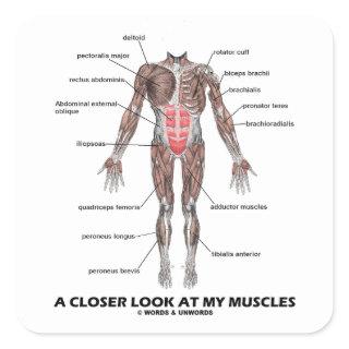 A Closer Look At My Muscles (Anatomy / Anatomical) Square Sticker