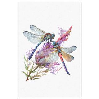 A Dragonfly Watercolor Series Design 5 Tissue Paper