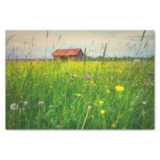 A Halcyon Barn Cuddled in a Wildflower Meadow Tissue Paper
