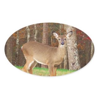 A Hunter's Dream Deer Oval Sticker