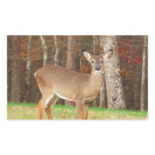 A Hunter's Dream Deer Rectangular Sticker