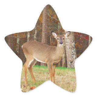 A Hunter's Dream Deer Star Sticker