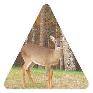 A Hunter's Dream Deer Triangle Sticker