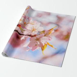 A Lovely Bunch Of Sakura Flowers On Pink Backdrop