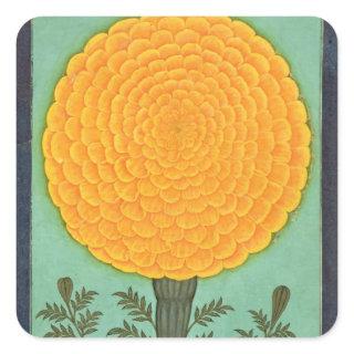 A Marigold, from the Small Clive Album (w/c on pap Square Sticker