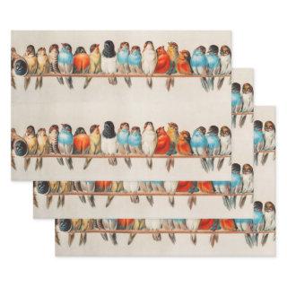 A Perch of Birds, 1880 by Hector Giacomelli  Sheets