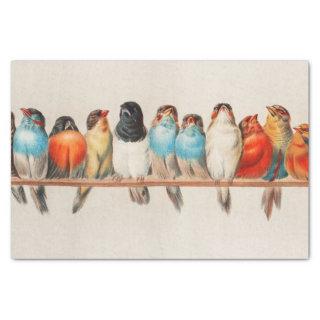 A Perch of Birds by Hector Giacomelli Tissue Paper