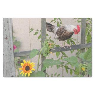 A Rooster Inspecting Sunflowers Tissue Paper