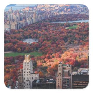 A view from above: Autumn in Central Park 01 Square Sticker