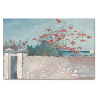 A Wall, Nassau by Winslow Homer Tissue Paper