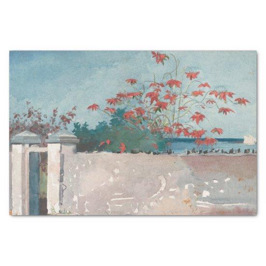 A Wall, Nassau by Winslow Homer Tissue Paper