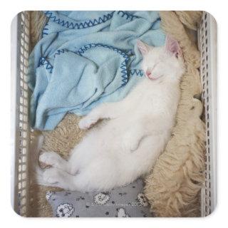 A white cat sleeping in a laundry basket, square sticker