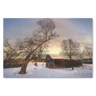 A Winter Tree Protecting a Tired Barn Tissue Paper