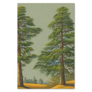 Abstract Rustic Northern Pine Tissue Paper
