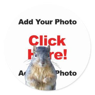 Add A Squirrel Custom Photo Sticker