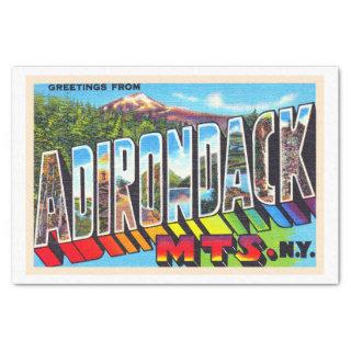 Adirondacks New York Vintage Large Letter Postcard Tissue Paper