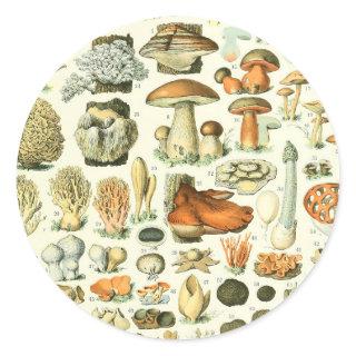 Adolphe Millot Champignon Mushroom Print Classic Round Sticker