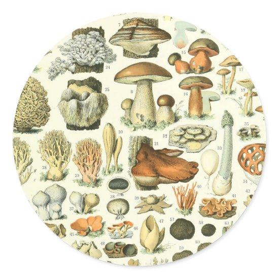 Adolphe Millot Champignon Mushroom Print Classic Round Sticker