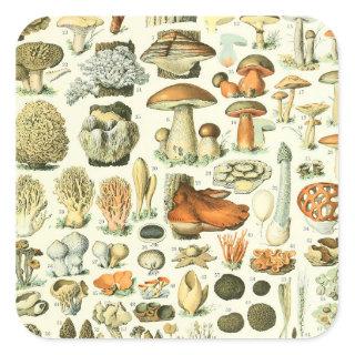 Adolphe Millot Champignon Mushroom Print Square Sticker