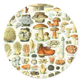 Adolphe Millot mushroom Classic Round Sticker