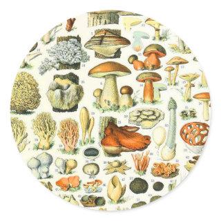 Adolphe Millot mushroom Classic Round Sticker