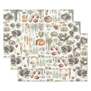 Adolphe Millot Vegetable Pattern  Sh