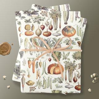 Adolphe Millot Vegetable Pattern  Sh