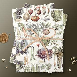 Adolphe Millot Vegetable Pattern  Sheets