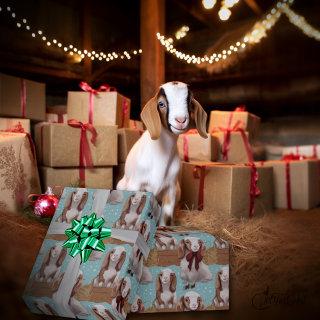 Adorable Boer Christmas Goats