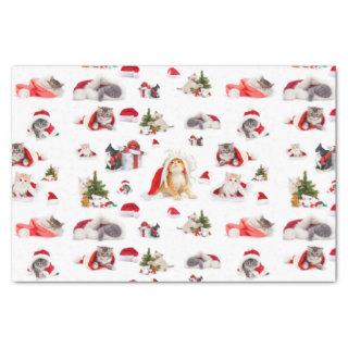 Adorable Christmas Kittens  Pattern Tissue Paper