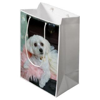 Adorable Fancy White Puppy Portrait Photo Medium Gift Bag
