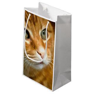 Adorable Ginger Tabby Cat Posing Pet Portrait Small Gift Bag