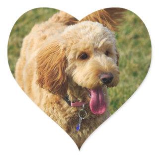 Adorable Goldendoodle Dog Heart Sticker