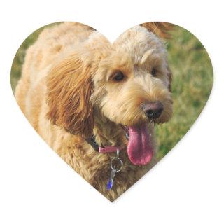 Adorable Goldendoodle Dog Heart Sticker