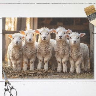 Adorable Lambs in a Row Rustic Decoupage Tissue Paper