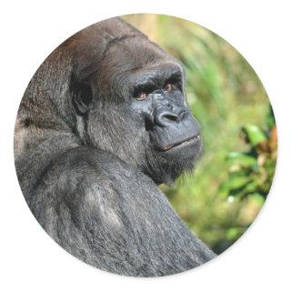Adult Gorilla Classic Round Sticker