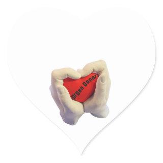 Adult woman and men hand hold a red heart, health heart sticker