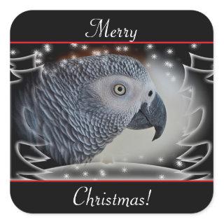 African Grey Snowy Christmas Square Sticker