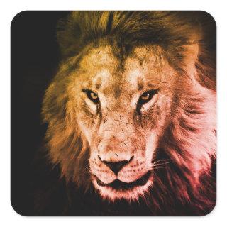 African lion in to the shadow. Strong wild animal  Square Sticker
