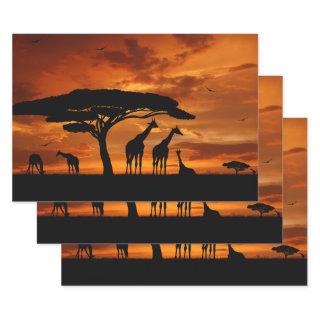 African Safari at Sunset  Sheets