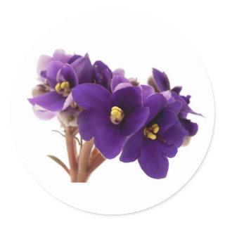 African violet classic round sticker